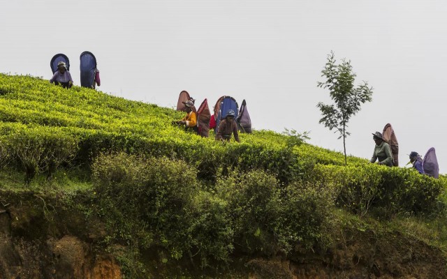 Accommodation in SRI LANKA