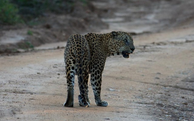 Accommodation in SRI LANKA