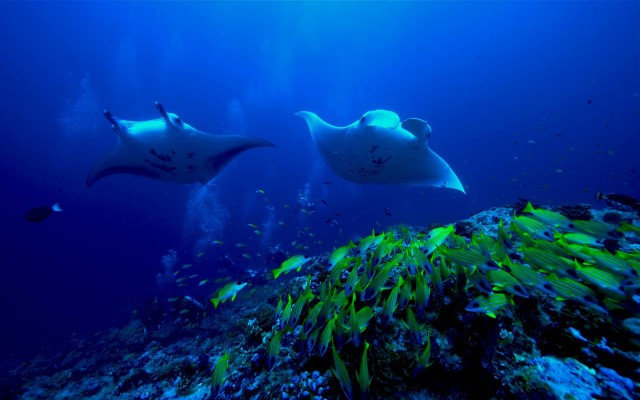 Accommodation in Maldives