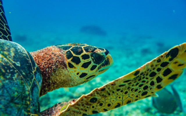 Accommodation in Maldives