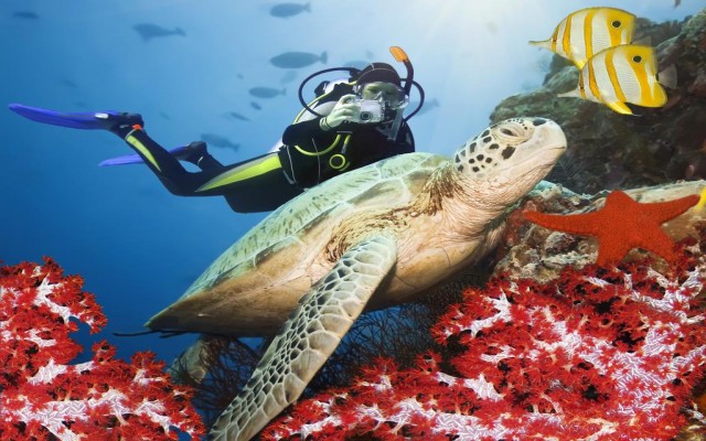 Accommodation in Maldives