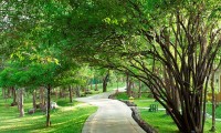 AMAYA LAKE