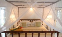COCO TANGALLE