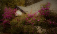 FERNCLIFF BUNGALOW NUWARA ELIYA