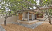 THE FRANGIPANI TREE