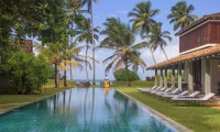 THE FRANGIPANI TREE