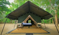 LEOPARD TRAILS WILPATTU