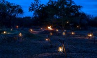 LEOPARD TRAILS WILPATTU