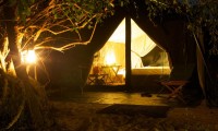 LEOPARD TRAILS WILPATTU