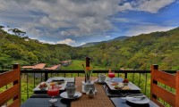 THE RAINFOREST ECOLODGE