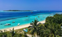 Season Paradise