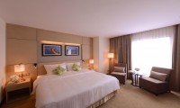 The Ann Hotel