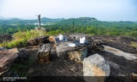 WILD GRASS NATURE RESORT