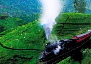 Holidays to SRI LANKA